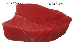 قیمت فیله ماهی گیدر